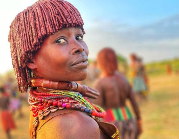 12 Days North & South Tour