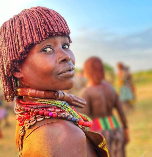 12 Days North & South Tour