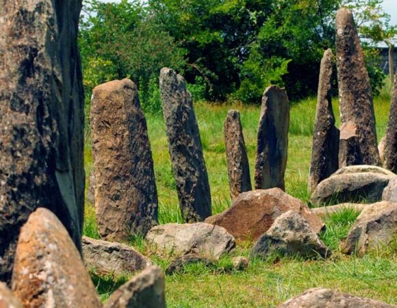 Day Trip Tiya & Adadi Mariam